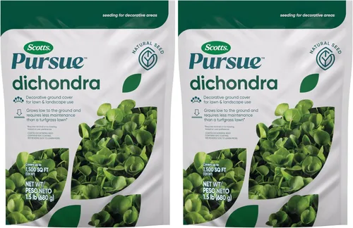Vista 12 de Scotts Césped de tréboles enriquecido con ingredientes naturales, 2 libras. Rico en ingredientes naturales