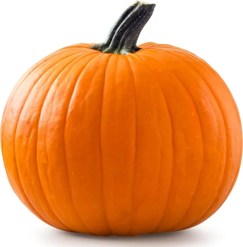 Vista 39 de 50 Hale's Best Cantaloupe Seeds for Planting - Sweet Aromatic Heirloom, Non-GMO, USA Grown by RDR Seeds