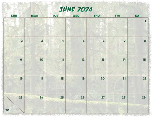 Vista 5 de Bigfoot Calendario de pared 2024-12 meses – 11 x 19 pulgadas abierto – Ideal para la oficina o cabina – Regalo divertido para los fanáticos