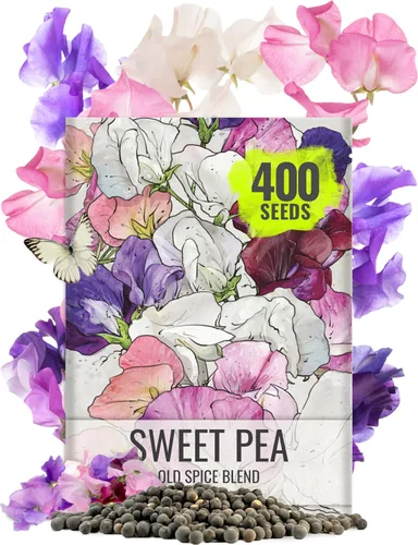 Vista 12 de Seed Needs - Semillas de flores para plantar Black Eyed Susan, paquete a granel de 1.5 onzas
