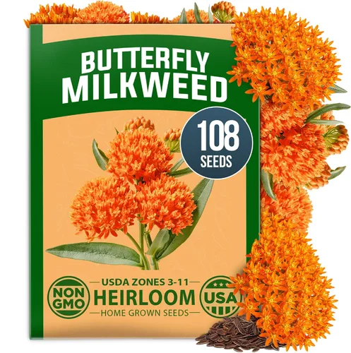 Vista 24 de HOME GROWN Bachelor Button Tall Mix 700+ Semillas de flores Centaurea