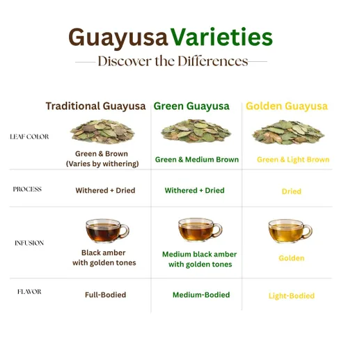 Vista 2 de Bolsas de té Guayusa de PACHA Naturalmente altas en antioxidantes, L-teanina y teobromina Té de hierbas de energía sostenida Alternativa a