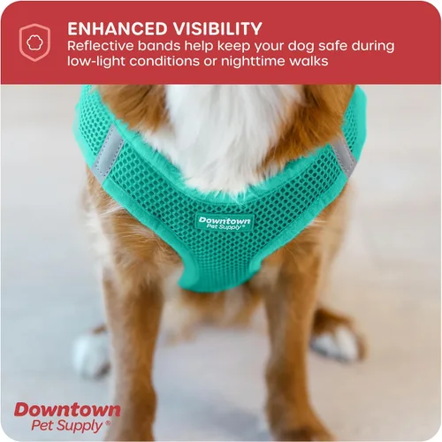 Vista 195 de Downtown Pet Supply Arnés para perro Step-in – Sin tirones, malla acolchada ajustable con ribete reflectante, correa de hebilla segura – Arnés