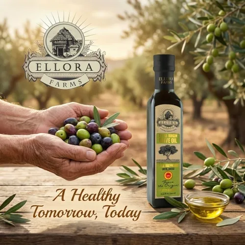 Vista 3 de Ellora Farms, Aceite de oliva virgen extra griego, DOP certificado de un solo estado, rastreable, Kosher y primera prensa en frío, alto polifenoles