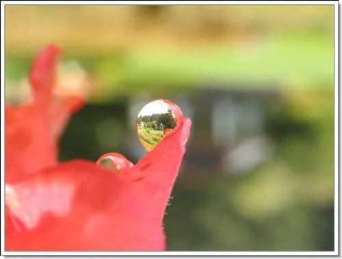 Vista 3 de Canon PowerShot SX400 IS 10 x Lente de alta definición 2 elemento Acercamiento (Macro)