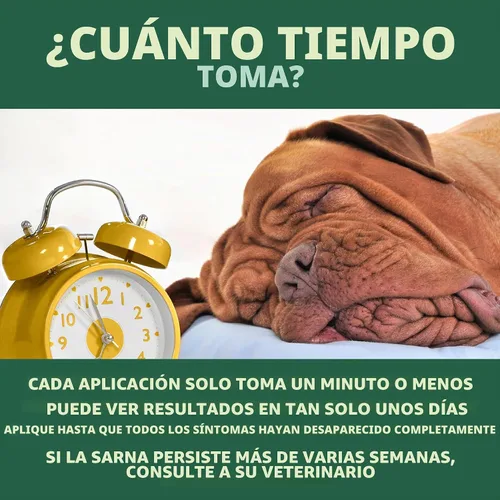 Vista 5 de EcoMange Mange Relief for Dogs & Cats - Alivio de la picazón de gatos y perros, 8 onzas, spray sarcóptico y demodéctico para ácaros - Extracto