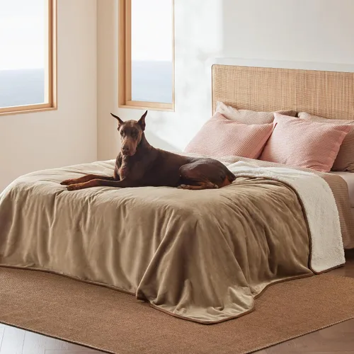 Vista 48 de Bedsure - Mantas impermeables para perros pequeños - Manta de felpa de sherpa con impresión suave lavable para perros y gatos, protector de muebles