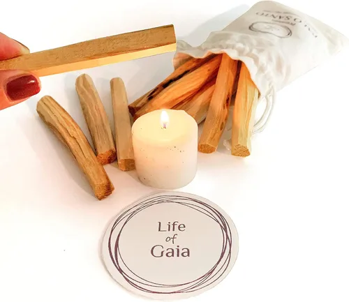 Vista 4 de Life of Gaia Auténticos palitos de palo santo, cosechados en el medio silvestre, palitos de madera sagrada seleccionados a mano, juego de 15