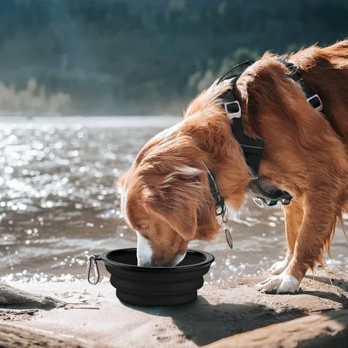 Vista 71 de COOYOO Cuenco plegable para perros, paquete de 2 cuencos plegables para agua para perros y gatos, plato portátil para alimentación de mascotas