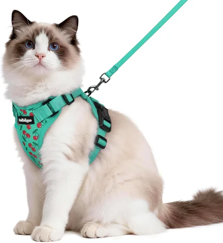 Vista 101 de rabbitgoo Cat Harness and Leash Set, Escape Proof Vest, XXS, Berry Pounce Soft Breathable Mesh, No-choke Adjustable Fit, Snap Buckles, Sturdy