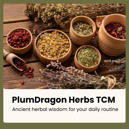 Vista 9 de Plum Dragon Tu Si Zi Hierba Polvo – Semilla de Cuscuta – Auténtica Semilla Dodder – Cuscutae – Hierbas Chinas Tradicionales – 1 Libra en Polvo