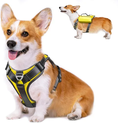 Vista 12 de Fida - Arnés resistente para perro, pechera para viaje, campamento o senderismo. Para perro pequeño, mediano y grande, con 2 bolsillos laterales
