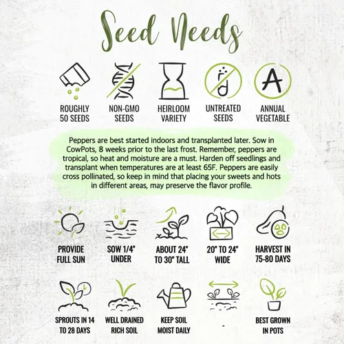 Vista 8 de Seed Needs Semillas de pimiento picante para plantar chiles serranos, semillas de vegetales sin OMG y sin tratar para plantar un jardín vegetal