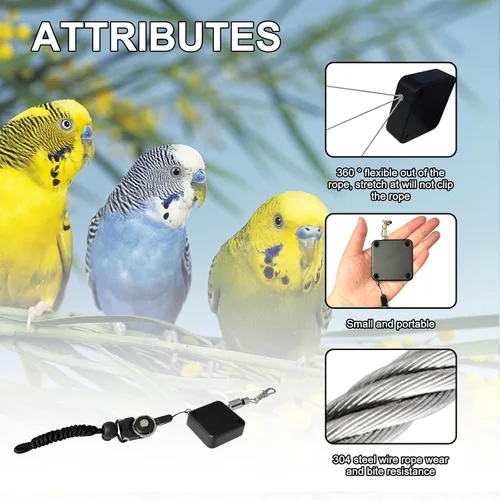 Vista 5 de Correa retráctil para pájaros, cuerda voladora de loro, correa de loro de cuerda de alambre antimordedura, arnés ajustable para pájaros