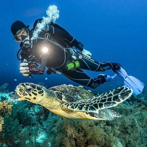 Vista 14 de SeaLife ReefMaster RM-4K Cámara de acción subacuática con video 4K e imágenes fijas de 14 mp, modos de escena subacuática, lente gran angular