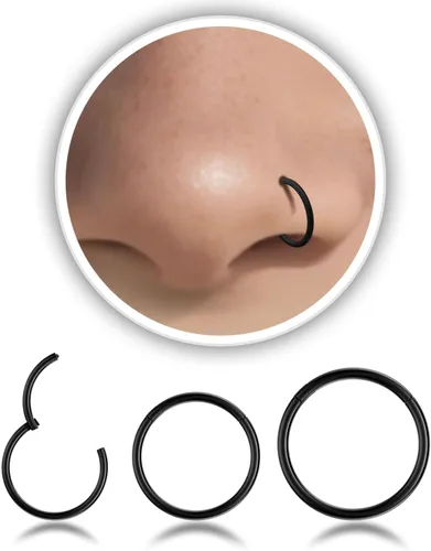 Vista 24 de Nose Rings Hoop and Nose Studs Sets for Women Men,Hypoallergenic 316L Surgical Stainless Steel Hinged Clicker Segment Nose Rings Hoop Helix