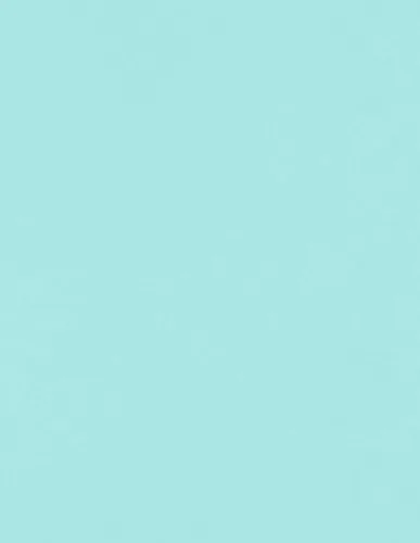 Vista 44 de LUXPaper - Papel de colores de 8.5 x 11 pulgadas
