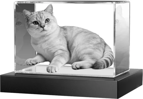 Vista 10 de Foto de cristal para perros y gatos, regalos conmemorativos personalizados con tu propia foto para amantes de las mascotas, imagen grabada