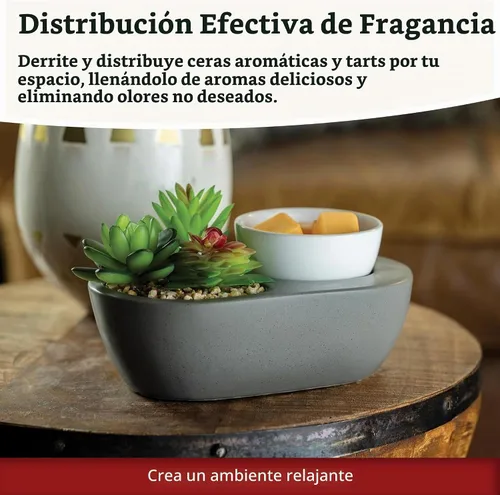 Vista 3 de Candle Warmers Etc. Calentador de Fragancias (Suculenta) Calienta Ceras Perfumadas Derretidas, Cubos y Tartas