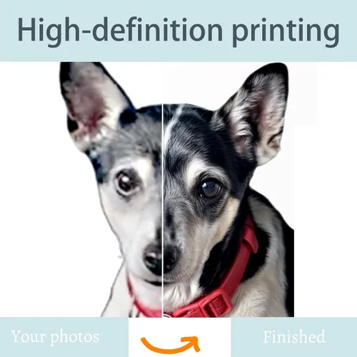 Vista 3 de Almohadas personalizadas para mascotas genéricas, almohadas con foto personalizada, almohadas personalizadas con fotos, almohadas para mascotas