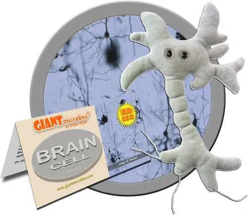 Vista 2 de Giant Microbes peluche célula cerebral (neurona)