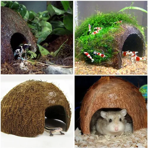 Vista 3 de SunGrow Cabaña de coco para Gecko crestado, piel de escalada de reptiles de 5 x 3 pulgadas, accesorios de hábitat de jaula de tanque de leopardo
