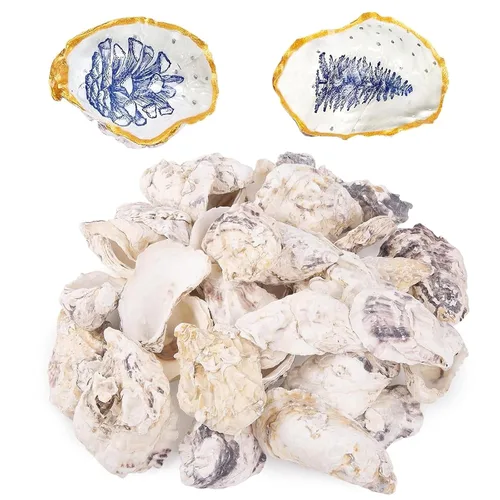 Vista 8 de QEQEKAKA 25 conchas de ostras cóncavas de 2 a 3 pulgadas para manualidades, conchas de ostras naturales a granel, para relleno de jarrones