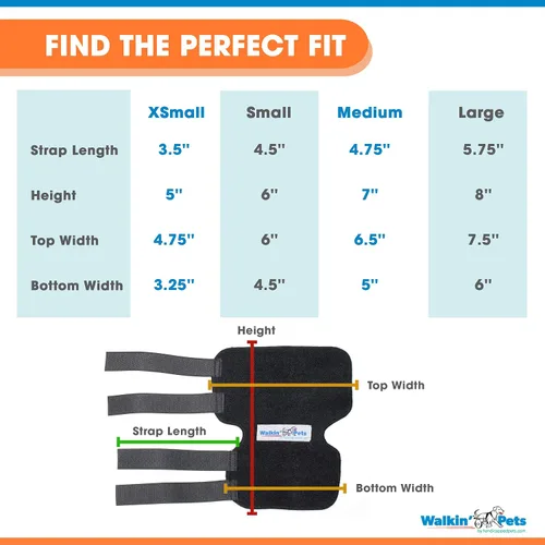 Vista 3 de Walkin' Hock Hugger - Soporte para perro para patas traseras Soporte extendido para articulaciones de cornejo para la pierna trasera de los perros