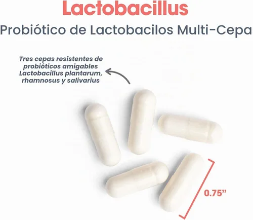Vista 4 de Allergy Research Group Lactobacillus 100 cápsulas vegetales