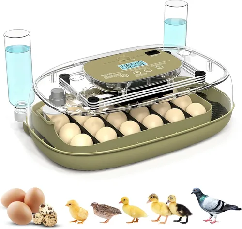 Vista 8 de Incubadora de 12 huevos con pantalla de humedad y vela integrada, girador automático, control de temperatura y humedad, recarga automática de agua