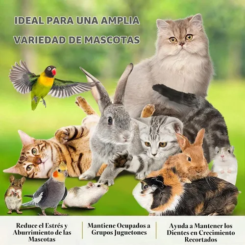 Vista 9 de SunGrow Paquete de 3 bolas masticables de conejo, juguete de dentición de hierba surtida para mascotas de bolsillo pequeñas, soporte de desgaste
