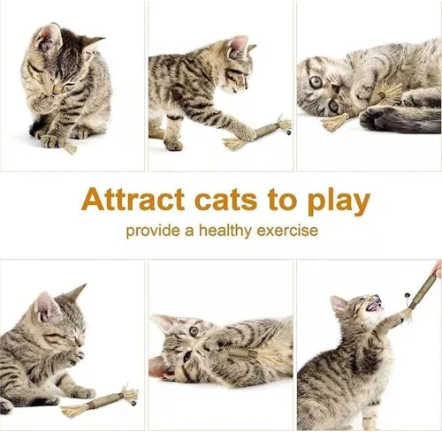 Vista 4 de Natural Silvervine Dental Sticks - Catnip Chew Toy, Interactive Teeth Cleaning Toy for Indoor Cats, Scratch Resistant, Boost Appetite & Relieve