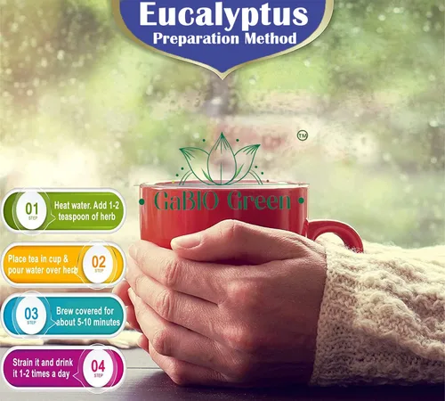 Vista 5 de Hojas enteras de eucalipto, calidad premium, hojas enteras de eucalipto (más de 500 hojas) 1 libra de té suelto de hierbas, té de eucalipto de hoja