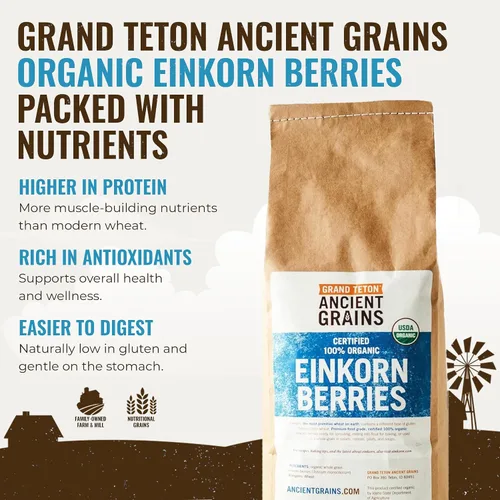 Vista 2 de Grand Teton Ancient Grains - Bayas de Einkorn 100% orgánicas, Farro Piccolo de grado alimenticio premium, bayas de trigo Einkorn, grano Einkorn