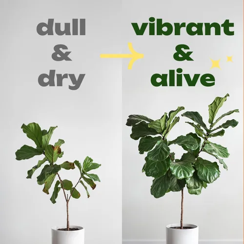 Vista 3 de RichFarm Booster, polvo orgánico para la condición del suelo, estimulador de raíces para plantas de interior, funciona con cualquier fertilizante