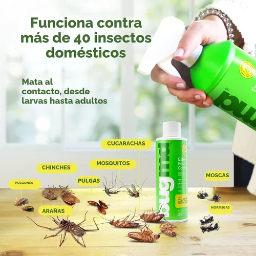 Vista 3 de BugMD matahormigas y concentrado de aerosol antiinsectos - Mata cucarachas y chinches de interior, aerosol para arañas para el hogar, defensa contra