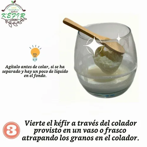 Vista 5 de Granos de kéfir de leche fresca - 1 cucharada