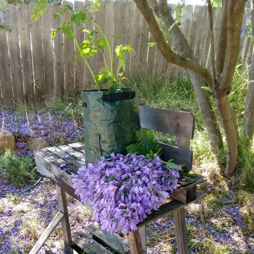 Vista 7 de JJGoo Paquete de 2 bolsas de cultivo de patatas de jardín de 10 galones con solapa y asas de aireación, macetas de tela de aireación, macetas