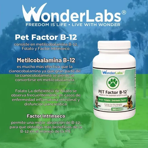 Vista 7 de Wonder Laboratories Pet Factor B-12 Vitamina B-12 en forma de metilcobalamina Popular en el tratamiento de EPI en perros 180 cápsulas