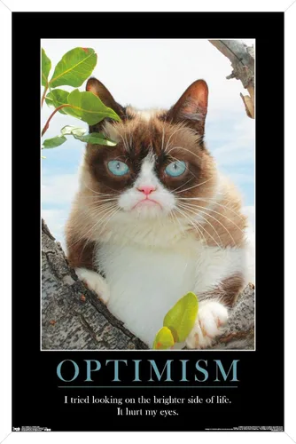 Vista 12 de Trends International Grumpy Cat - El Lado Más Brillante Póster de Pared, 14.725 x 22.375 pulgadas, Versión Enmarcada de Madera de Granero