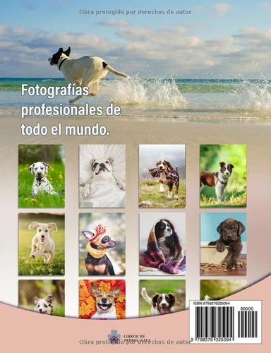 Vista 2 de Los 40 Cachorros más Bonitos del Mundo Un Libro de Fotografías a todo Color para Personas Mayores con Alzheimer o Demencia
