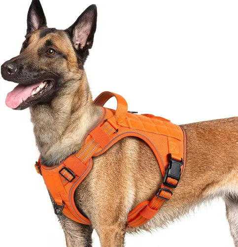 Vista 50 de rabbitgoo - Arnés para perros pequeño sin tirones, chaleco táctico de servicio con Molle y asa de control, arnés militar ajustable y reflectante