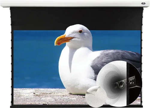 Vista 8 de VIVIDSTORM - Pantalla de cine de PVC blanco perforado transparente para el hogar, pantalla de montaje en techo, compatible con proyector ordinario