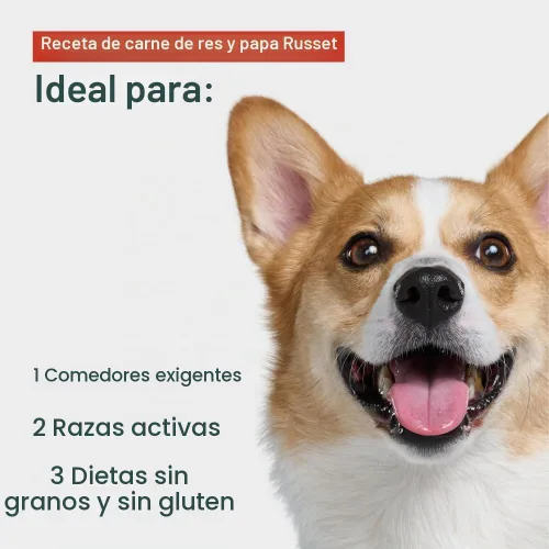 Vista 3 de JustFoodForDogs Pantry Fresh - Alimento húmedo para perros, comida completa o comida para perros, receta de comida para perros de grado humano
