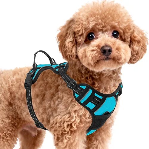 Vista 20 de BARKBAY Arnés para perro sin tirones para perros pequeños, ajustable, reflectante, cómodo, sin estrangulamiento, resistente, perfecto para Negro