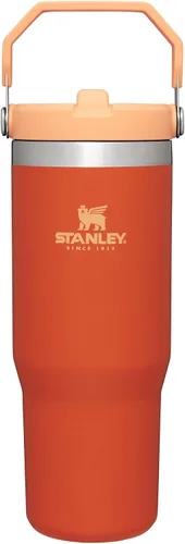 Vista 56 de STANLEY IceFlow 2.0 - Vaso con pajilla abatible con asa, 30 onzas, tapa giratoria y popote abatible, botella de agua a prueba de fugas, acero Tiza