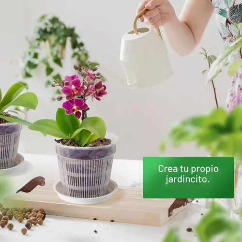 Vista 6 de Maceta de orquídeas, paquete de 6 macetas de orquídeas de 6 pulgadas