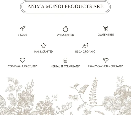 Vista 6 de Anima Mundi Apothecary Suplemento orgánico de hongos – hongos adaptogénicos + cacao – Polvo estimulante con melena de león orgánica, shiitake, chaga