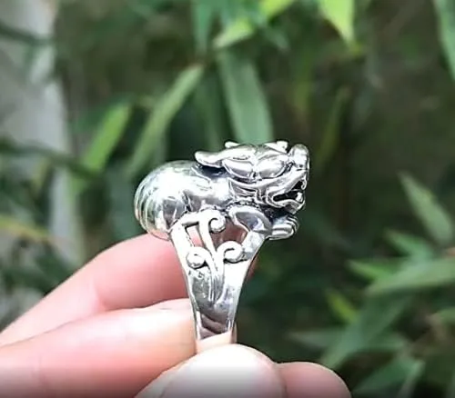Vista 7 de Anillo de plata de ley 925 con símbolo de la suerte, dragón chino Pixiu