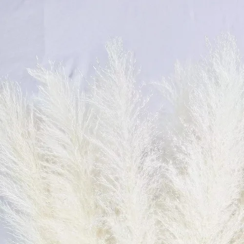 Vista 4 de 10 tallos de hierba de las pampas blanca de 40 pulgadas, decoración alta, hierba de las pampas grande, ramo de decoración del hogar bohemio neutro.